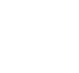 Service-Disabled Veteran-Owned Small Business (SDVOSB)